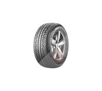 Nokian Tyres Pneu hiver WR SUV 4 285/45 R19 111V BMW X5/X6 Mercedes-Benz Classe ML/R T430501