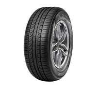 Pneu Radar RPX800 RFT ( 205/55 ZR16 94W XL, runflat )