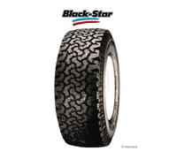 Pneu Rechapé BLACK STAR GLOBE TROTTER 205/70 R 15 96Q 3PMSF