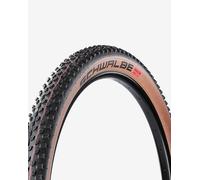Schwalbe Pneu Souple Racing Ray Evolution ADDIX Speed Super Race 29" noir 29x2.35