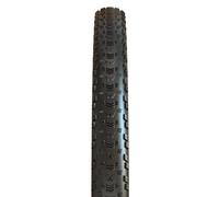 Maxxis Aspen Exo 120tpi Maxxspeed Tubeless 32´´ X 2.40 Mtb Tyre Argenté 32´´ x 2.40