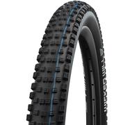 Schwalbe Pneu souple Wicked Will Evolution ADDIX SpeedGrip Super Ground 29" Noir 29x2.25