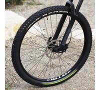 Vittoria Pneu VTT Barzo Tubeless Ready UCI Rainbow Edition 29 x 2.10 Noir