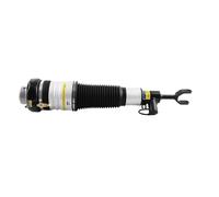 Amortisseur Suspension Pneumatique Struct avant gauche for Audi A6 4F0616039AA