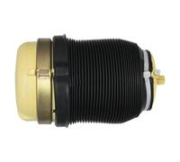 Pneumatique Amortisseur Compatible Avec A6 Pour Allroad Pour Quattro C6 4F 2007 2008 2009 2010 2011 4F0616001 Suspension Pneumatique Arrière Gauche/droite Pour Ressorts À Ressort.(Rear Left)