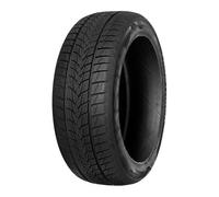 PNEUS D’HIVER TRIANGLE 245/40 R19 98V EFFEXWINTER TW421