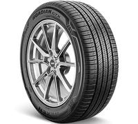 NEXEN ROADIAN GTX NE R17 99H