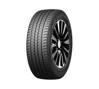 Double Star DSU02 ( 225/55 R16 99W XL )