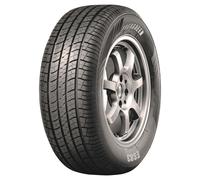 Pneus d'Eté 225/65 R17 Evergreen 102H ES83