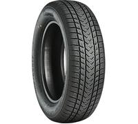 Pneus d'Hiver 195/65 R16 Gripmax 92H SureGrip EWinter M+S BSW