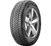 Pneus d'Hiver 205/70 R15 Maxxis 96H MA-SW MAXXIS M+S
