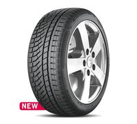 Falken EUROWINTER HS02PRO ( 255/40 R19 100V XL, avec protège-jante (MFS) NBLK )