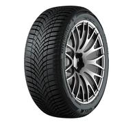 Pneus Toutes saisons 225/55 R17C 109/107H 8PR Fortuna ECOPLUS2 VAN 4S M+S