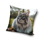 PNL231191 Housse de coussin Motif chat bébé 40 x 40 cm