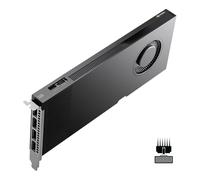 PNY NVIDIA RTX Pro 4000 Blackwell