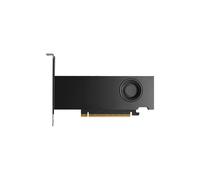 PNY Carte graphique RTX Pro 2000 Blackwell 16 Go GDDR7 PCI-Express Smallbox