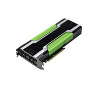 PNY Tesla M60 Modules Long