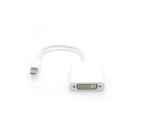 PNY Zubehör: Kabelpeitsche mDP =>DVI-D (Single-Link) White