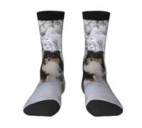 Poadnly Papier peint Sheltie d'hiver,Chaussettes de compression sportives unisexes, chaussettes et bas de sport pour adultes