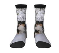 Poadnly Papier peint Sheltie d'hiver,Chaussettes de compression sportives unisexes, chaussettes et bas de sport pour adultes