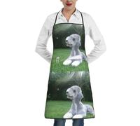 Poadnly Terrier de Bedlington, chiens drôles, chiens à fourrure, animaux de compagnie,Tablier de cuisine avec poches, tablier de chef imperméable et ajustable