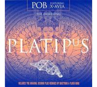 Pob Ft Xavia - The Awakening Remix [Import]
