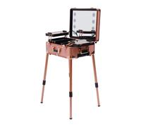 pochcicou Valise cosmétique à roulettes, Mallette de Maquillage Professionnelle avec Miroir et lumière, Verrouillable, Hauteur et luminosité réglables, Or Rose