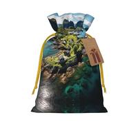 Pochette avec cordon de serrage imprimé des îles Norvège pour cadeaux, adorables sacs cadeaux réutilisables, parfaits pour les bijoux et plus encore