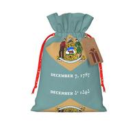 Pochette avec cordon de serrage imprimé drapeau du Delaware pour cadeaux, adorables sacs cadeaux réutilisables, parfaits pour les bijoux et plus encore