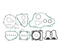 Complete Gasket Kit (oil seals not included)