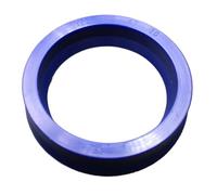 pochette de joints spi d'étanchéité à lèvre Cylindre hydraulique 14x20x8 16x22x8 16*24*10 16x24x10 Tige de piston en TPU rainurée Joint torique à lèvre U d'étanchéité Joint de vilebrequin(16x22x8)