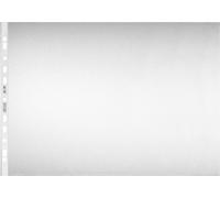 Herlitz 05813100 protecteur de feuilles A3 Polypropylène (PP) 10 pièce(s)