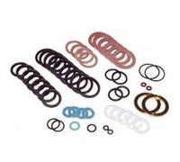 Frisquet - POCHETTE JOINTS HC - FRISQUET : F3AA40084