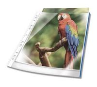 Pochette perforée PREMIUM, A4, PP, bord bleu