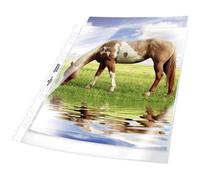 Pochette polypropylène DIN A4 transparente DURABLE 267719 - lot de 50