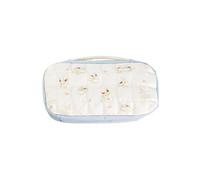 Pochette rembourrée Evoli Cottage Core pour Nintendo Switch 2 Nintendo Switch et Nintendo Switch OLED