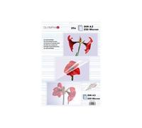 Olympia Pochettes de plastification à chaud DIN A2 9186 – 250 microns – 25 pochettes transparentes