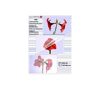 OLYMPIA - Transparent - A6 (105 x 148 mm) 100 pcs. ruban laminé