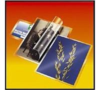 Pochettes de plastification à froid G