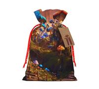 Pochettes réutilisables et écologiques avec cordon de serrage pour fête d'anniversaire Motif champignon magique