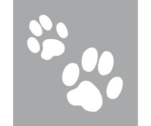 Pochoir 8 x 8 cm Patte de chat