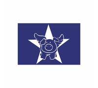 Pochoir Spécial Textile A5 Star-Pig + Raclette