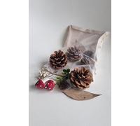 Pochon Déco Nature Pommes De Pin, Champignons Et Feuilles