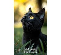 Pocket Calendar 2026-2027: Small 2-Year Monthly agenda from January 2026 to December 2027 purse size | Bombay Black Cat Design