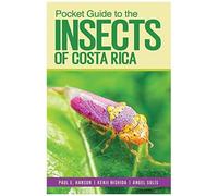 Pocket Guide To The Insects Of Costa Rica