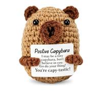 Pocket Hug Positive Capybara Peluche avec cartes d'affirmation positives