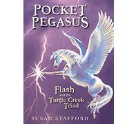 Pocket Pegasus