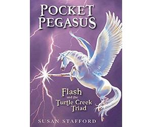 Pocket Pegasus