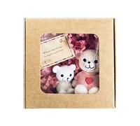 Pocket Teedy Bears Mini Bear Box, Petit Ours De Poche avec Carte De Sympathie De Carte Sentimentale Adaptée Cadeau De La Journée De Remise des Diplômes, Cadeaux Positifs pour Les Femmes Et Les