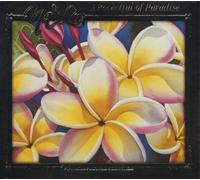 Pocketful of Paradise